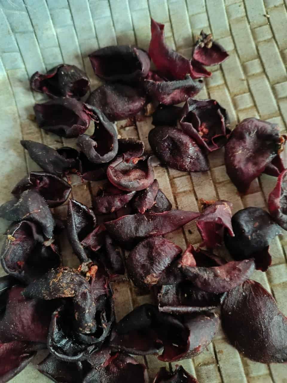 Sun Dried Kokum