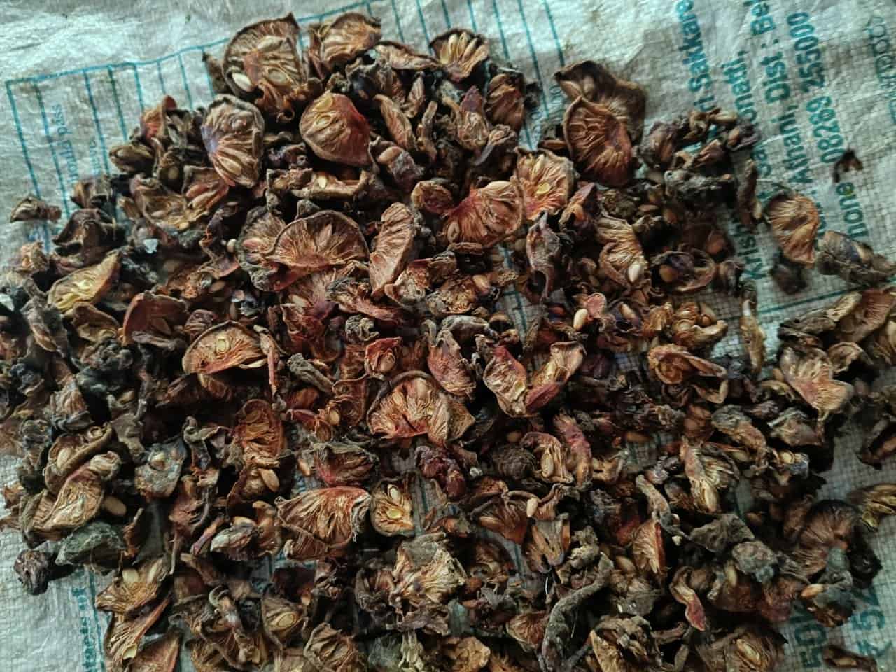 Sun-Dried Monkey Jack Vate Huli