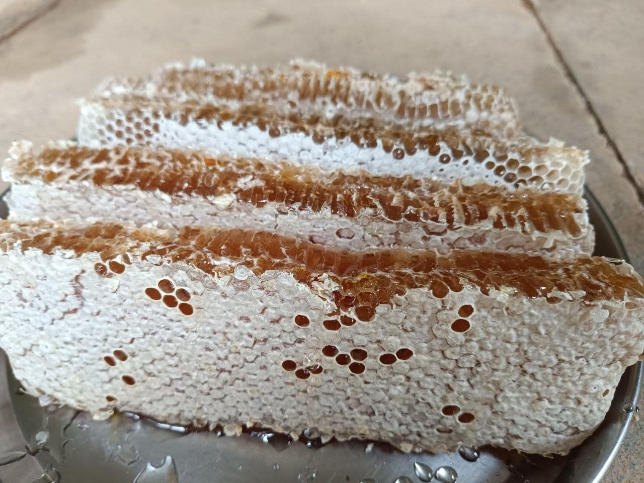 Fresh raw forest honeycomb cut straight from the hive