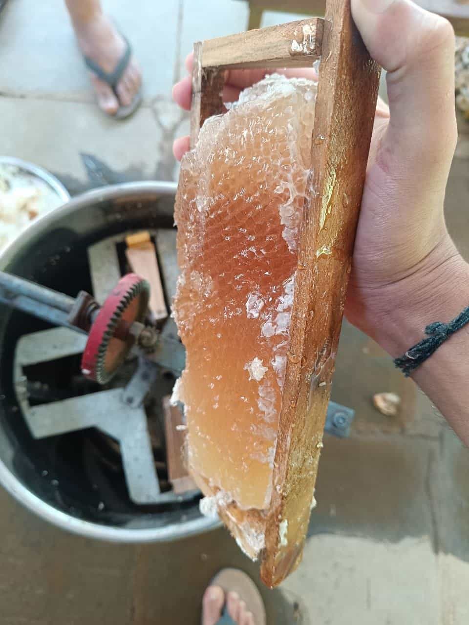 Traditional gravity filtering of raw honey