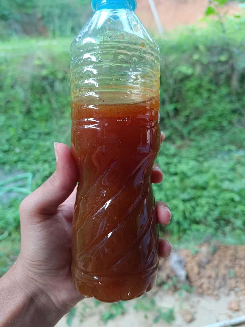 500g Bottle of Cheruthen Stingless Bee Honey