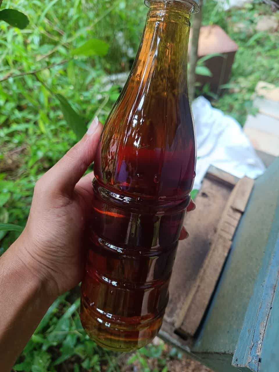 A raw organic forest honey