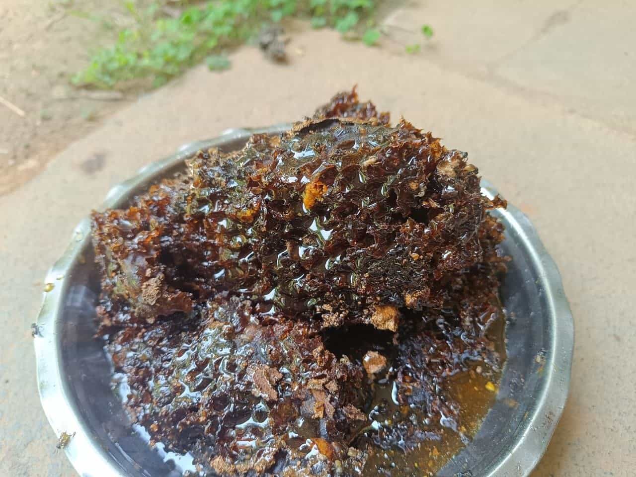 A jar of raw cheruthen stingless bee honey