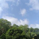 Nature's Heaven Joida
