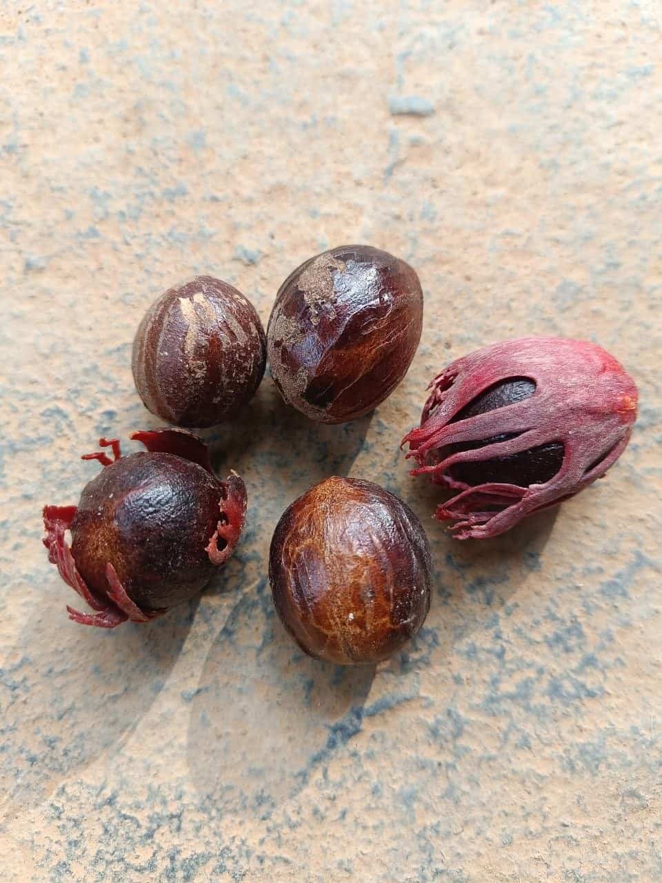 Hand-peeled mace flower drying under natural sunlight